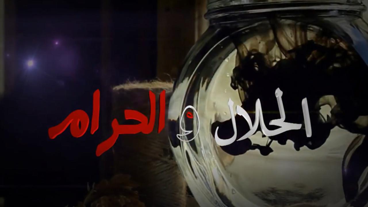 مسلسل الحلال والحرام الحلقة 13 الثالثة عشر